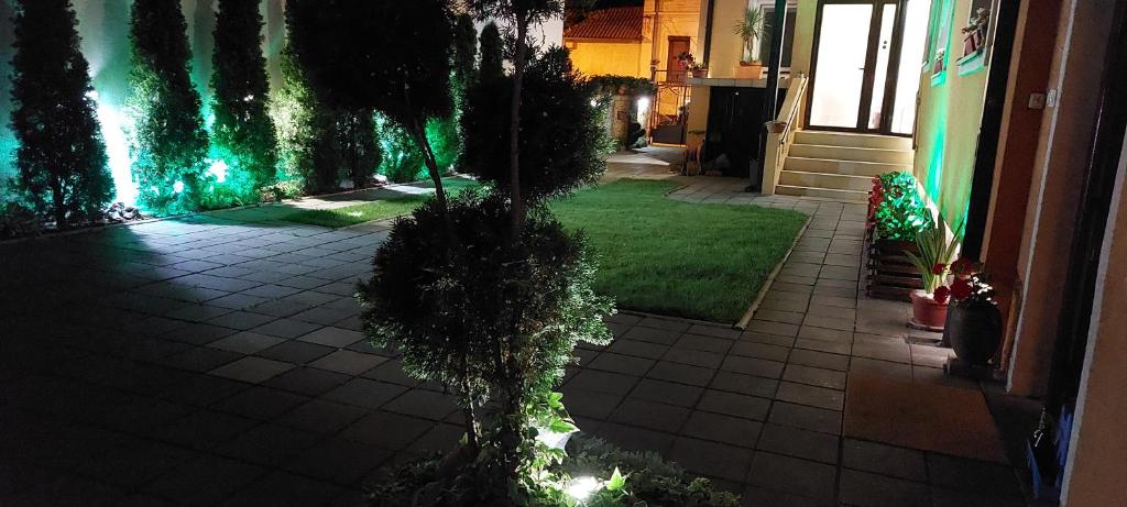 a tree in front of a house with lights at Apartments Sofija in Niš