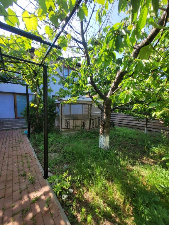 a tree in the grass next to a brick walkway at Vila Kalypso in Schitul