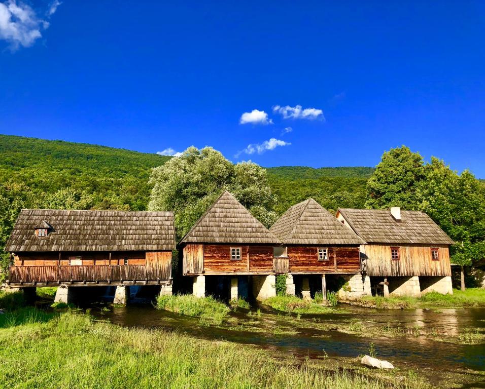 Príroda v okolí vily