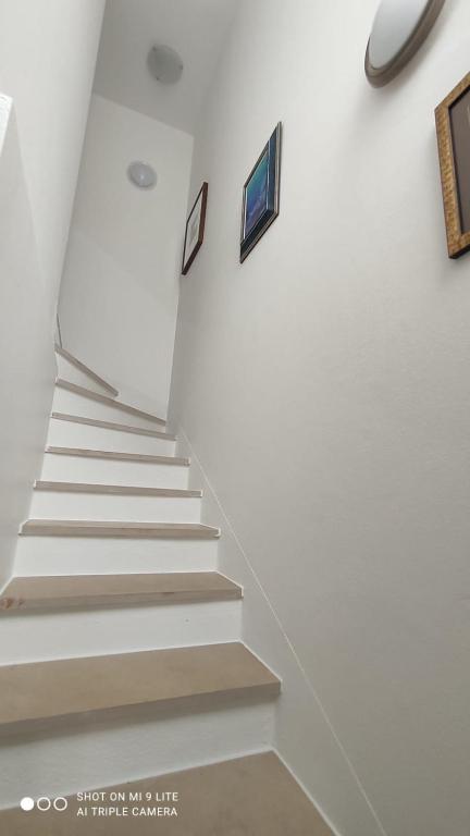 TV a/nebo společenská místnost v ubytování Apartmani Gavran