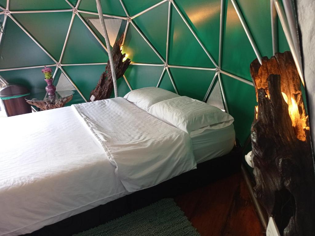 Cama en habitación con pared verde en Bellavista Experiences - Glamping, en Mocoa