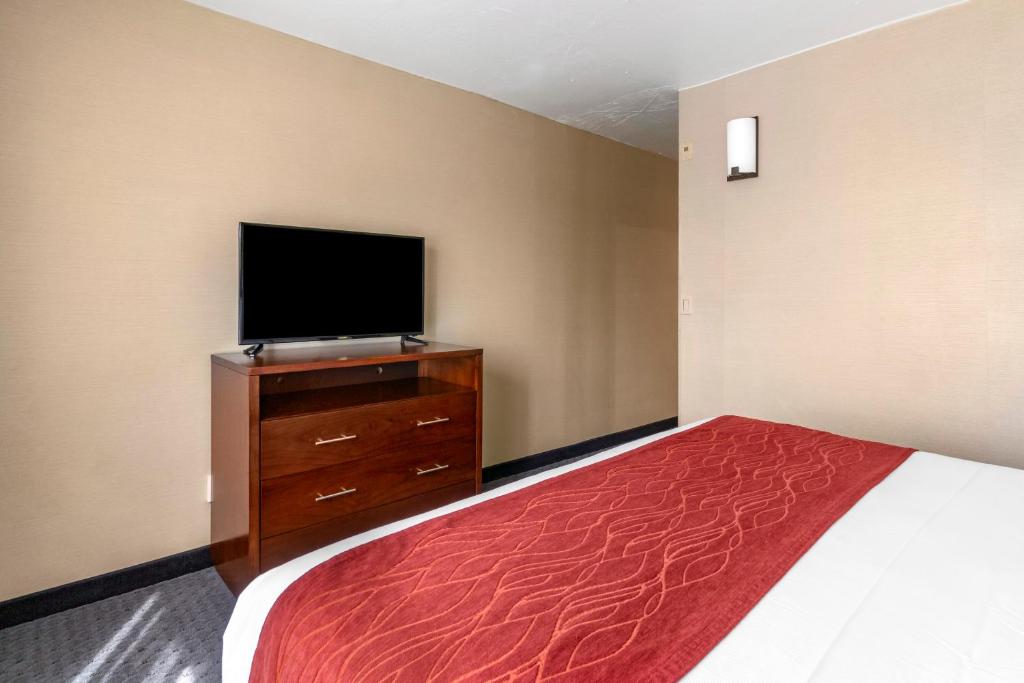 Comfort Inn Kent - Seattle - King Suite