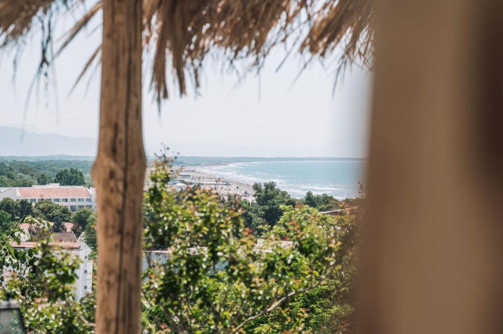 a view of the beach from a palm tree at Bivalvia Apartments in Ulcinj