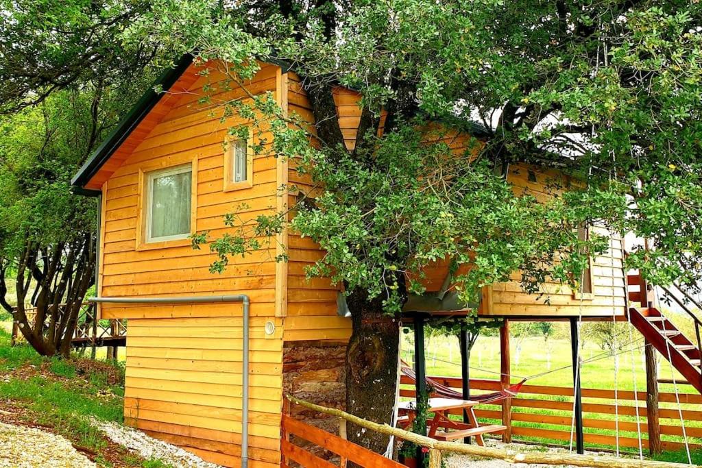 a small cabin with a tree in front of it at The Treehouse of The Dragon in Ioannina