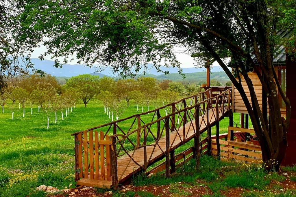 Fotografie z fotogalerie ubytování The Treevilla v destinaci Ioannina