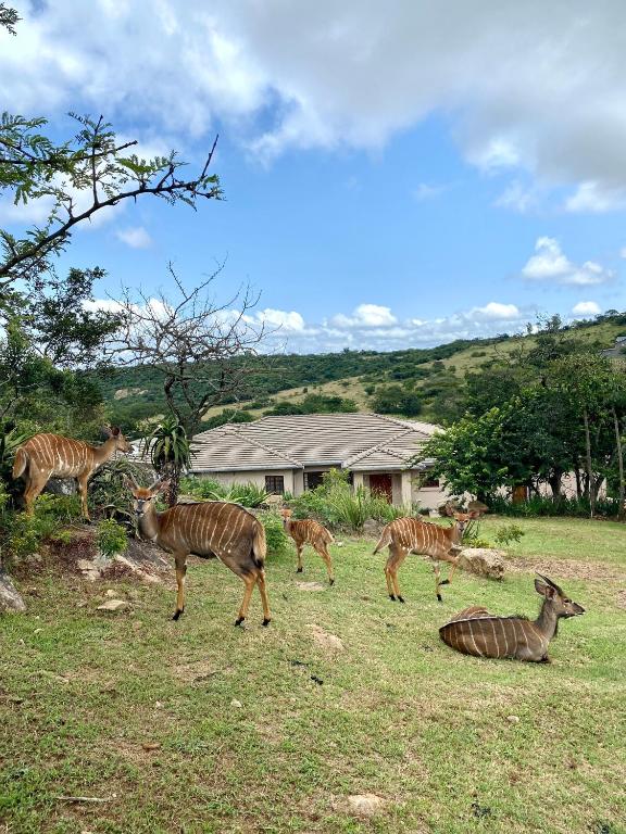 21 Wildfig- Live with Nature with Power Backup - Villa De Lujo