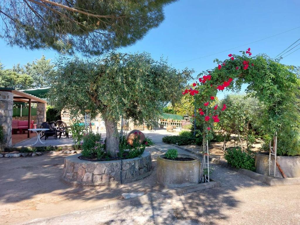 Jardín al aire libre en Casa de campo en pelayos