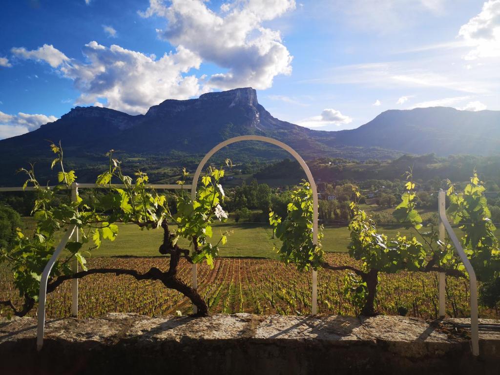 a view of a vineyard with a mountain in the background at Domaine des Granges Longes in Les Marches
