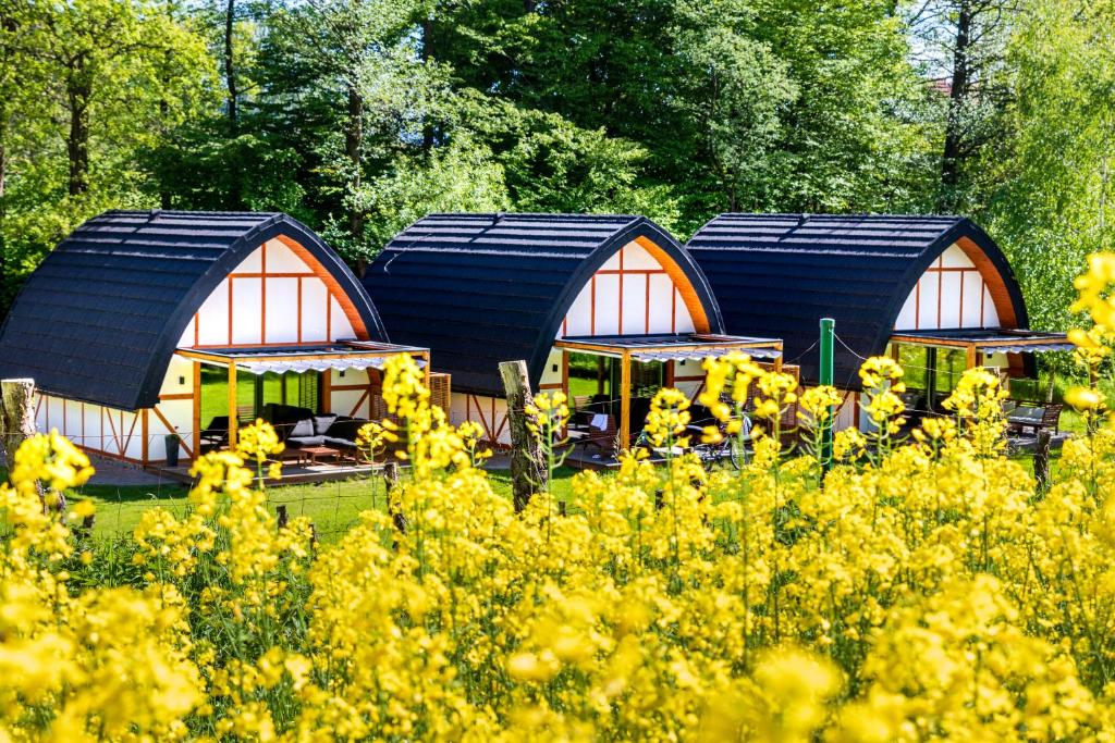 a group of small buildings in a field of yellow flowers at Sen i Wino in Żywiec
