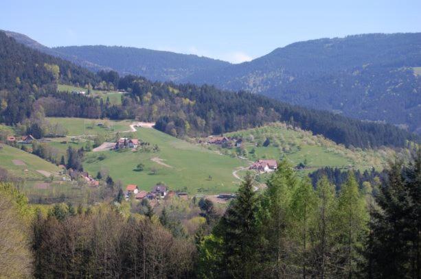 Příroda nedaleko apartmánu