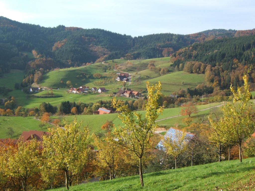 Příroda nedaleko apartmánu