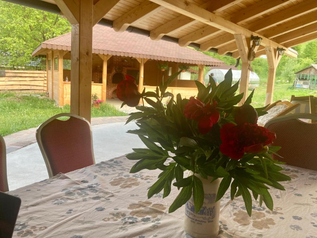 Zahrada ubytování Casa Cris