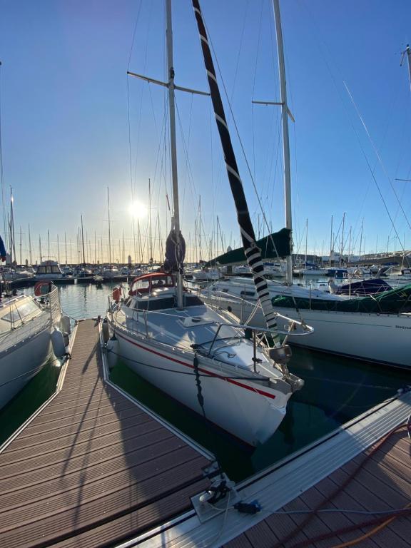 una barca a vela ormeggiata in un porto turistico con altre imbarcazioni di Mettre les voiles à Deauville a Deauville