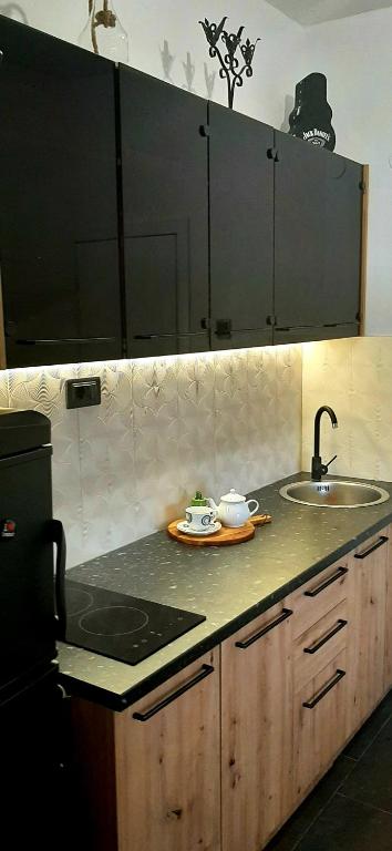 Kuchyň nebo kuchyňský kout v ubytování Ric Apartment Budva