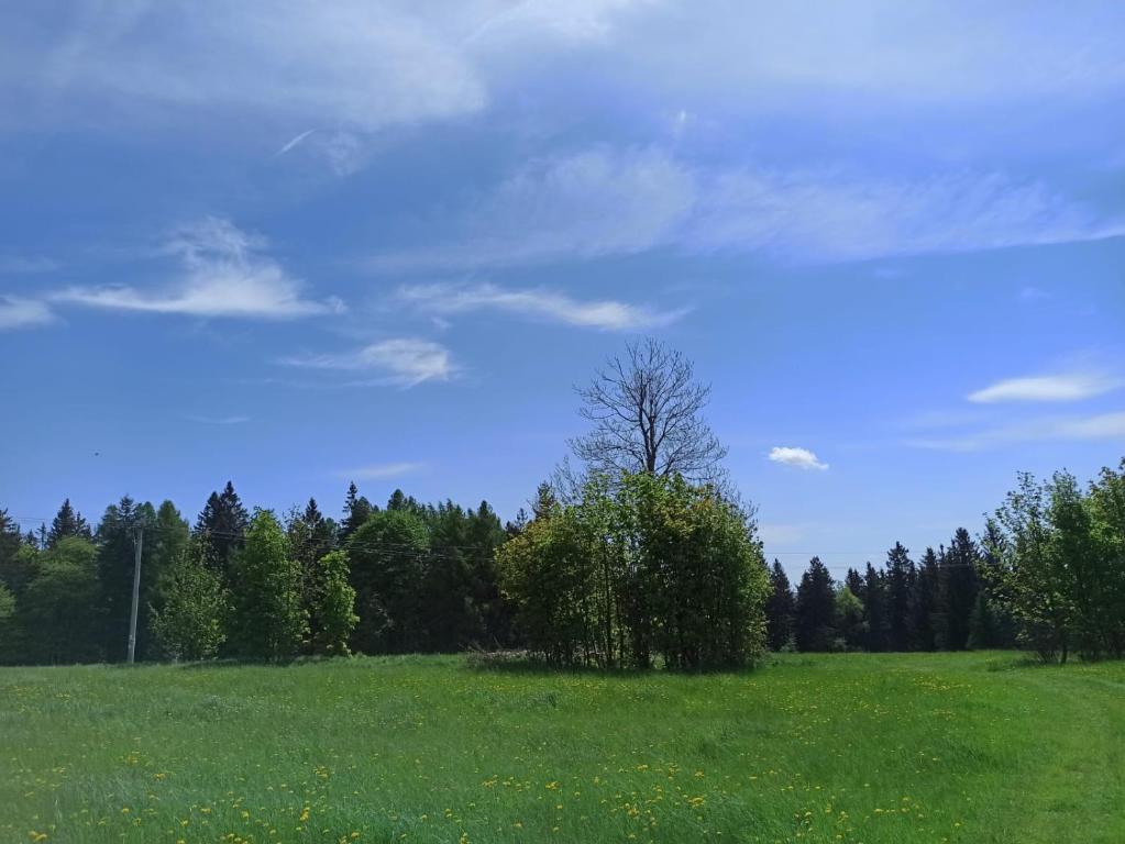 Příroda nedaleko apartmánu