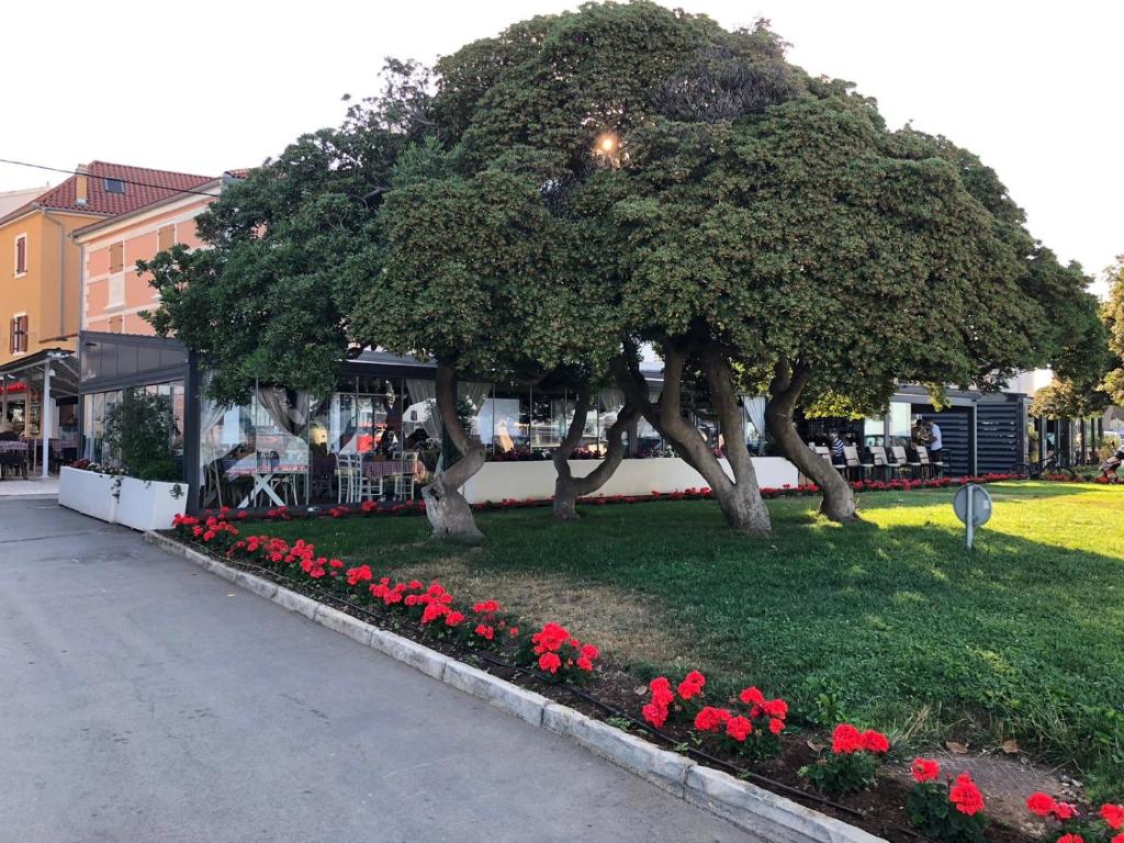 Zahrada ubytování Mobile Home BARTOL de LUX