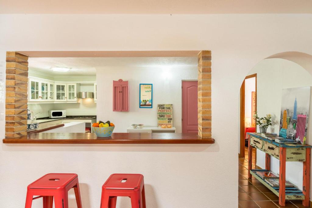 Kuchyň nebo kuchyňský kout v ubytování Villa Frida Kahlo