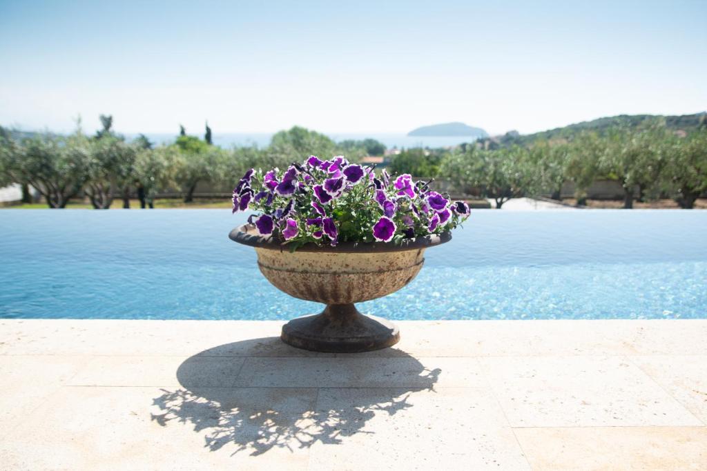 Fotografie z fotogalerie ubytování Villa Urania v destinaci Nea Iraklitsa