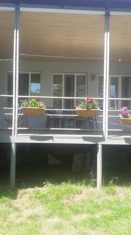 Zahrada ubytování Maka's Guesthouse