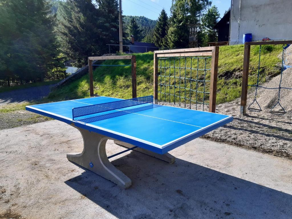 Stolní tenis v ubytování Pension Lesná nebo okolí
