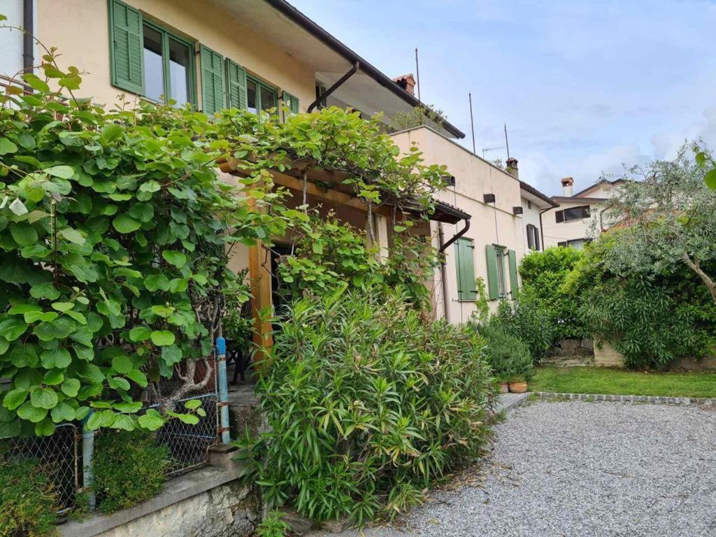 Una casa con plantas a un lado. en Serena, en Dobrovo