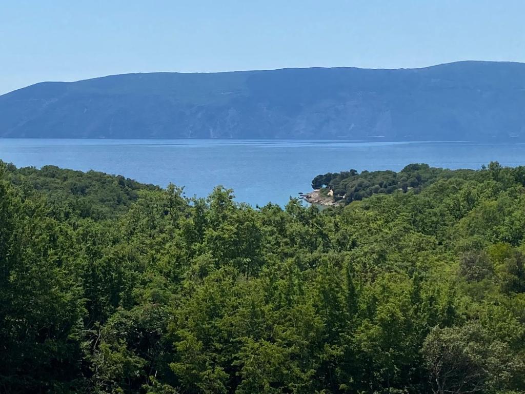 eine Insel mitten im Wasser mit Bäumen in der Unterkunft Donna in Vrh