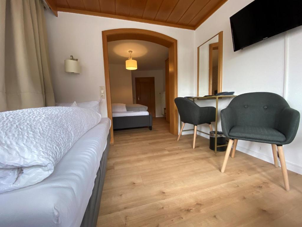 TV a/nebo společenská místnost v ubytování Hotel Zartenbach