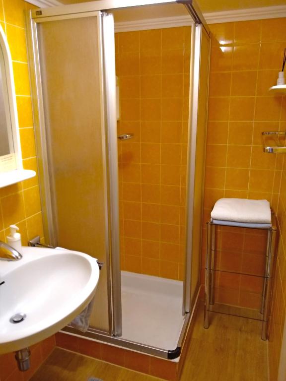 Sauschneidhof - Radstadt - 19