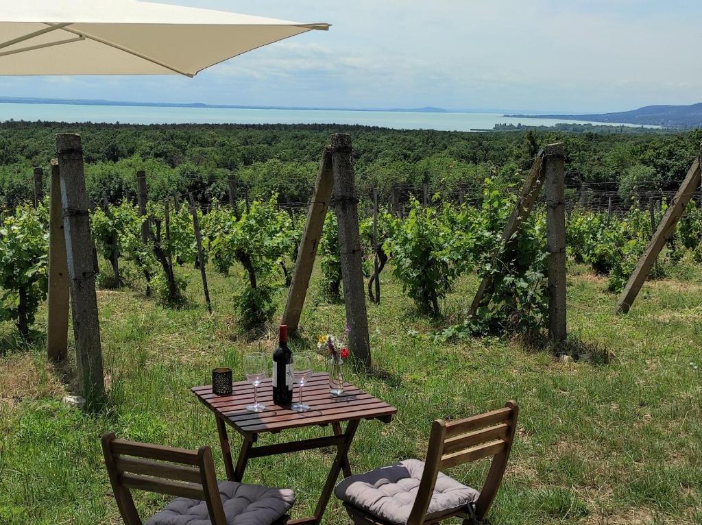 una mesa con una botella de vino y dos sillas en Napraszállás Vendégház, en Balatonakali