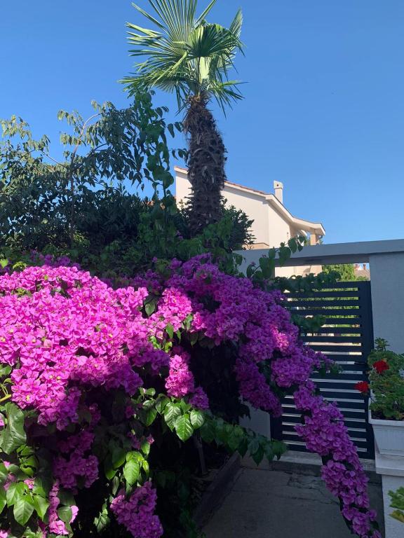Fotografia z galérie ubytovania Apartmani Garden v Sukošane