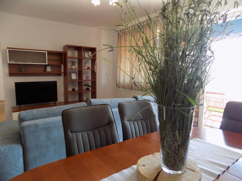 Posezení v ubytování Apartman Borna