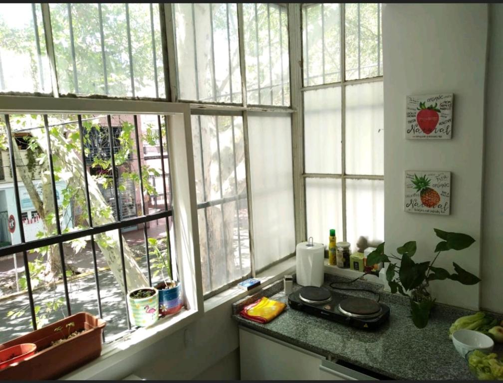 a kitchen with four windows and a counter with a counter top at Verónica Ciudad Mendoza in Mendoza