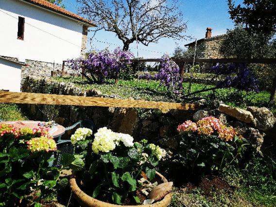 Vonkajšia záhrada v ubytovaní Casa Il giuggiolo
