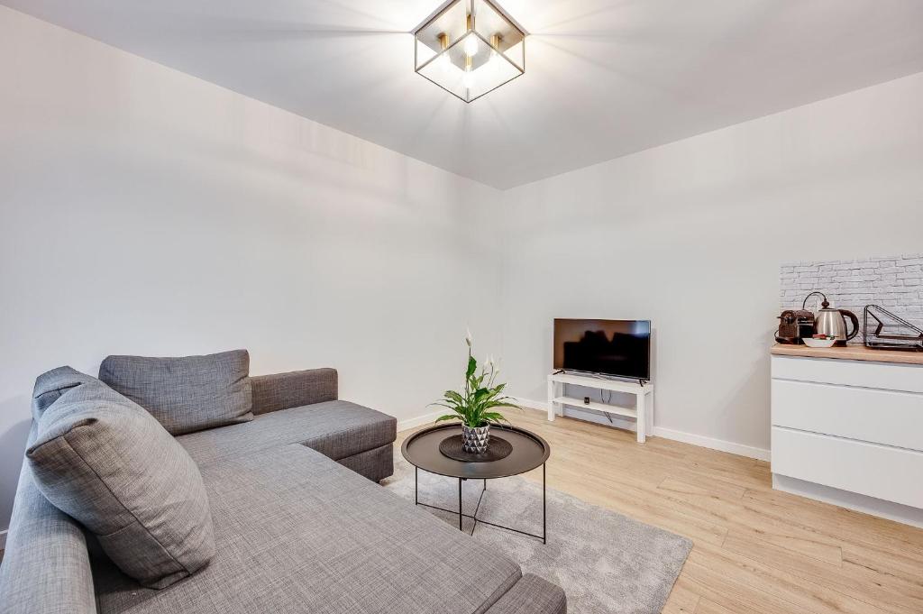 a living room with a couch and a tv at Central Platinum Apartments 23 in Rybnik