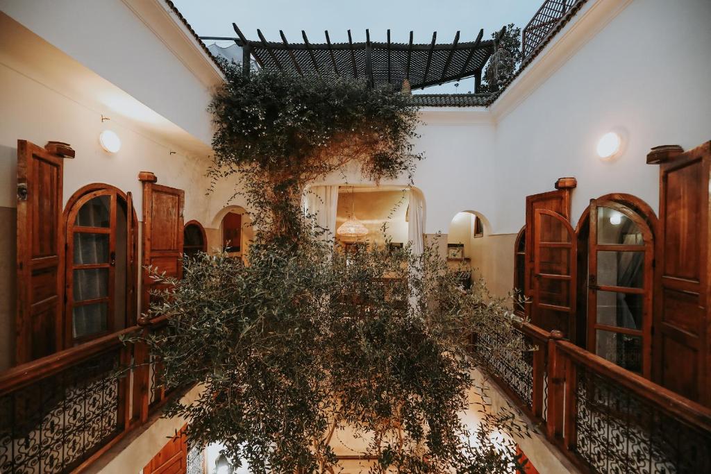 Zahrada ubytování Dar Nour el Houda