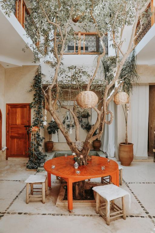 Zahrada ubytování Dar Nour el Houda