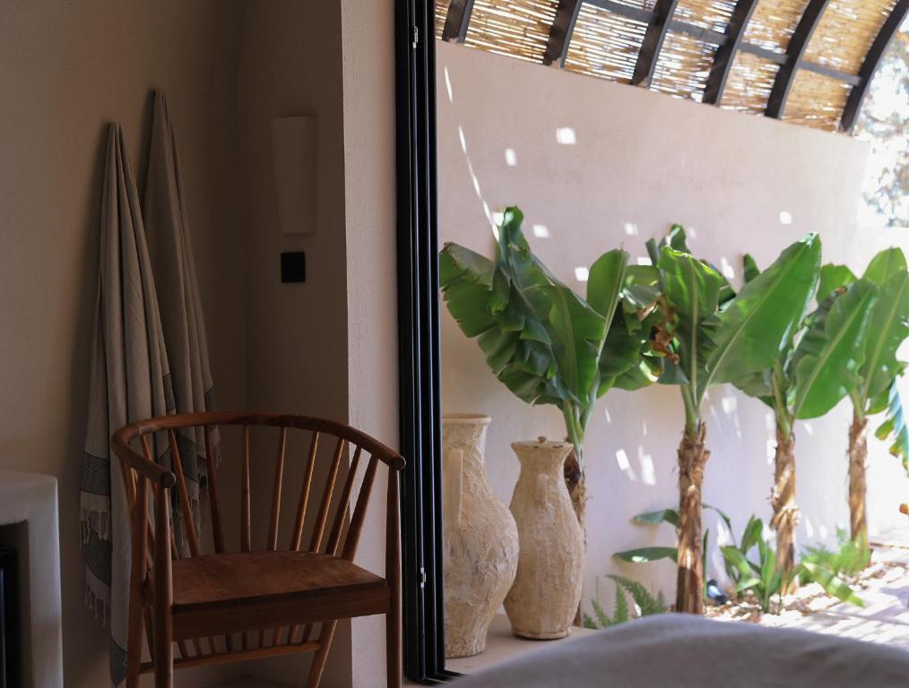 a mirror next to a chair and a plant at GAIA Alaçatı BY THE SEA - Adult Only in Çeşme