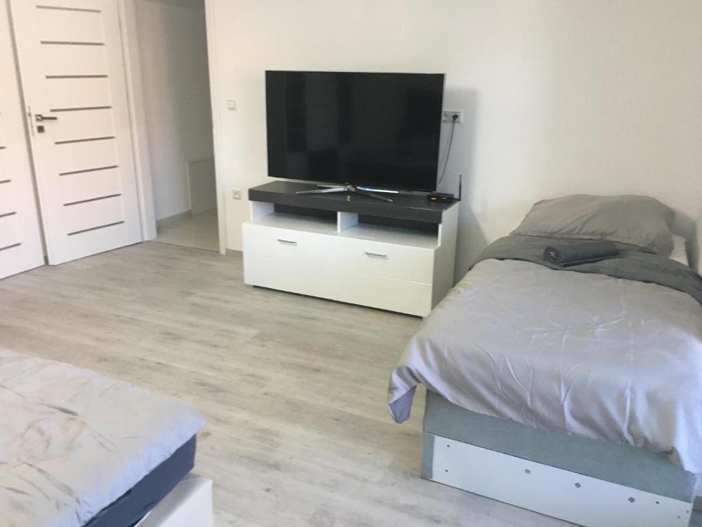 TV a/nebo společenská místnost v ubytování Apartmány Dimitra 2