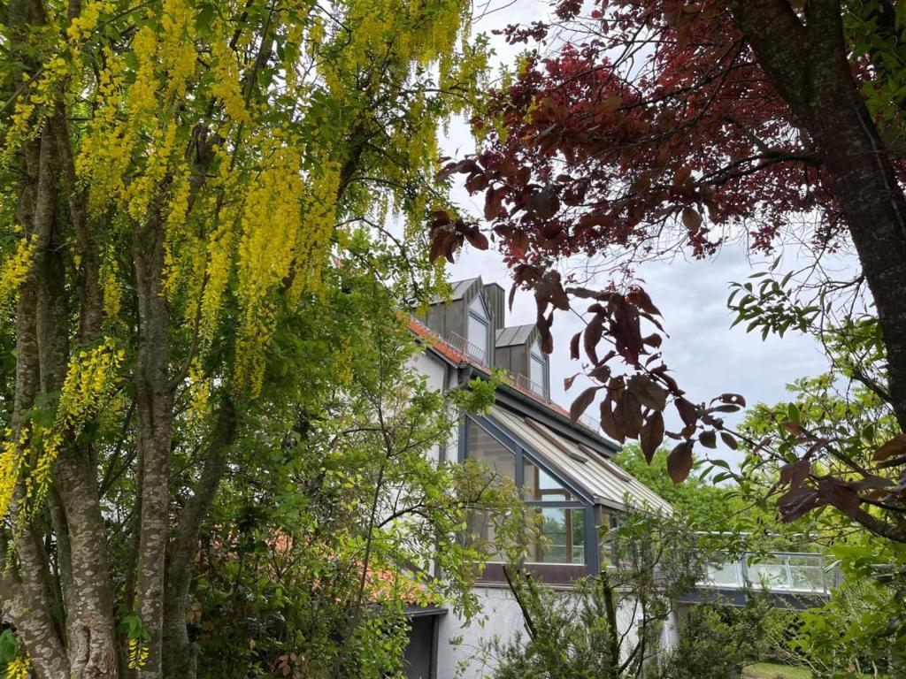 a white house with trees in front of it at Landvilla Diebach in Diebach