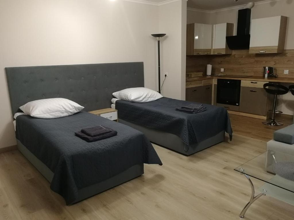 Kuchyňa alebo kuchynka v ubytovaní Pokoje Gościnne Finezja