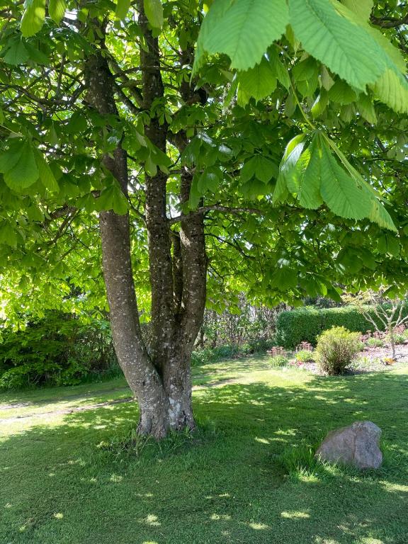Zahrada ubytování Feriehus-Gammel Byvej, Vrensted