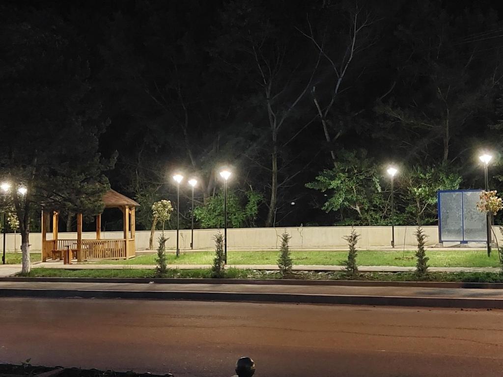 een park 's nachts met lichten op een hek bij lizi-ko in Borjomi