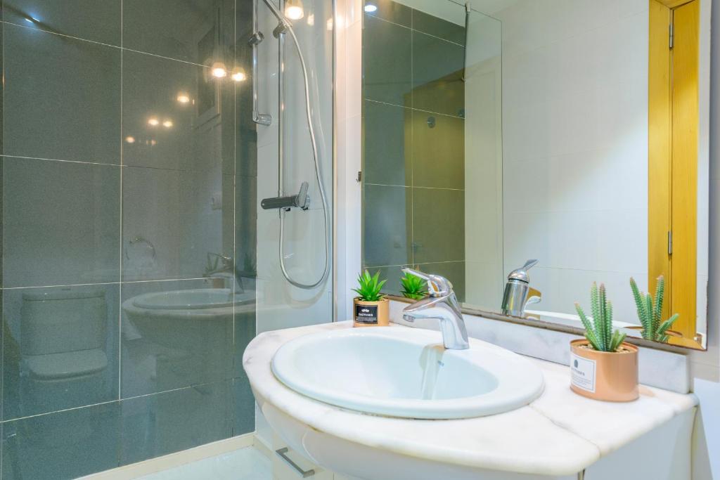 MD Balmes Central Market, Valencia – Updated 2023 Prices