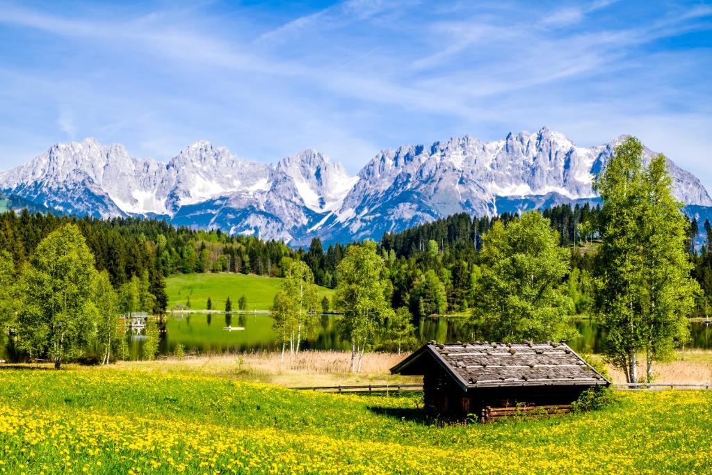 une ancienne grange dans un champ avec des montagnes en arrière-plan dans l'établissement Mami Fee Familien Ferienhaus Hopfgarten, à Hopfgarten im Brixental