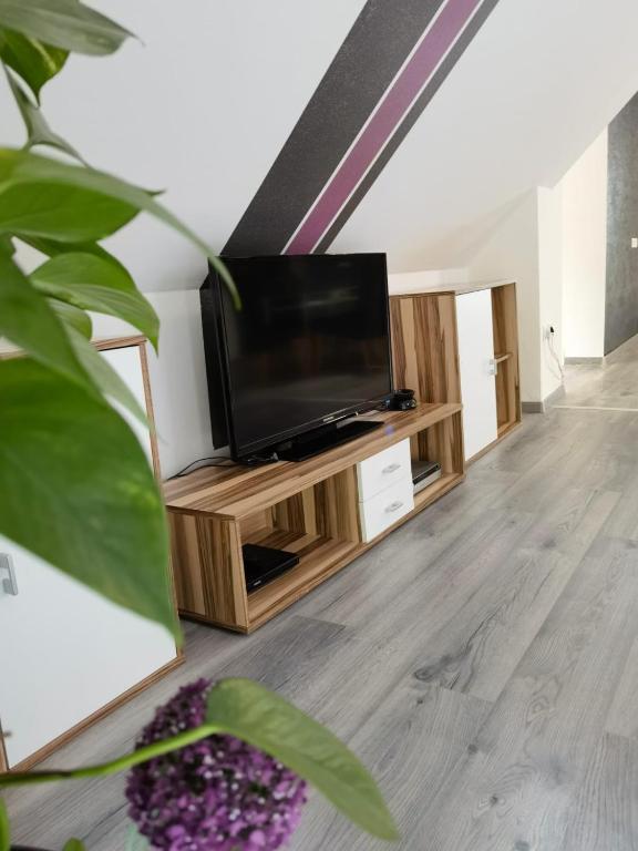 TV a/nebo společenská místnost v ubytování Ferienwohnung Eckberger Weinstrasse 139