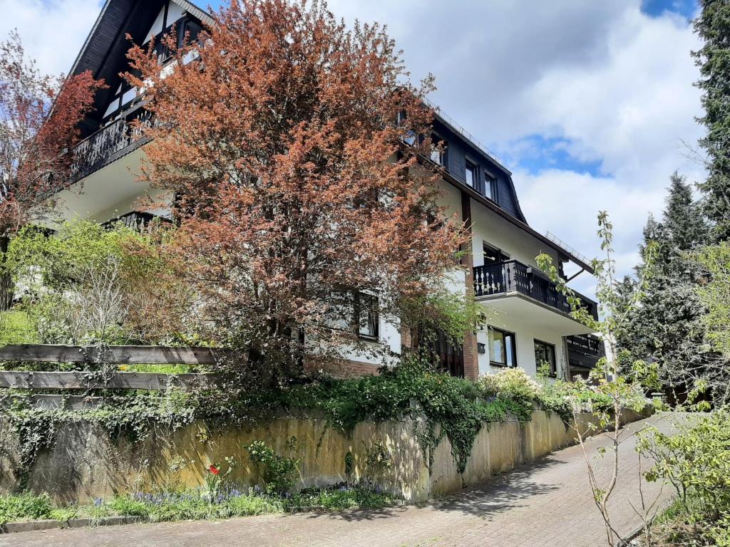una casa con un árbol delante de ella en Ferienwohnung Waldblick, en Hallenberg