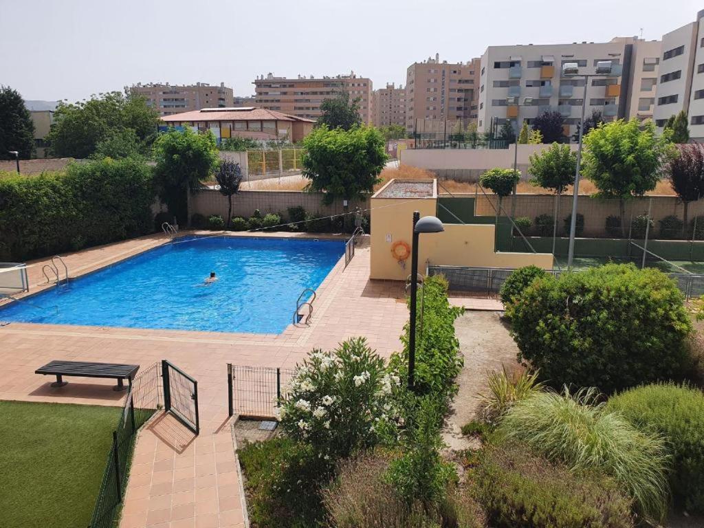 una gran piscina con una persona nadando en ella en Piso centro de Granada junto al metro, en Granada