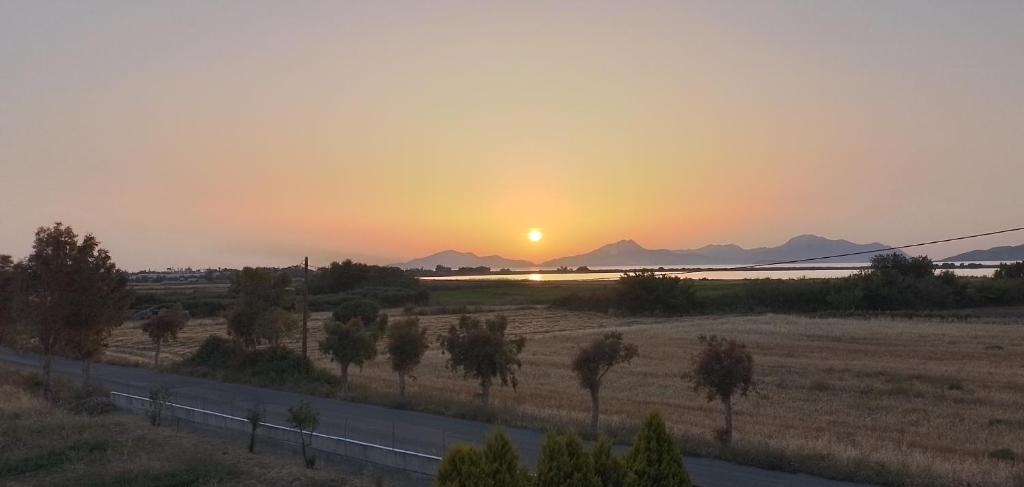 a sunset over a field with a road at Salt Lake Sunset Tigaki in Marmari