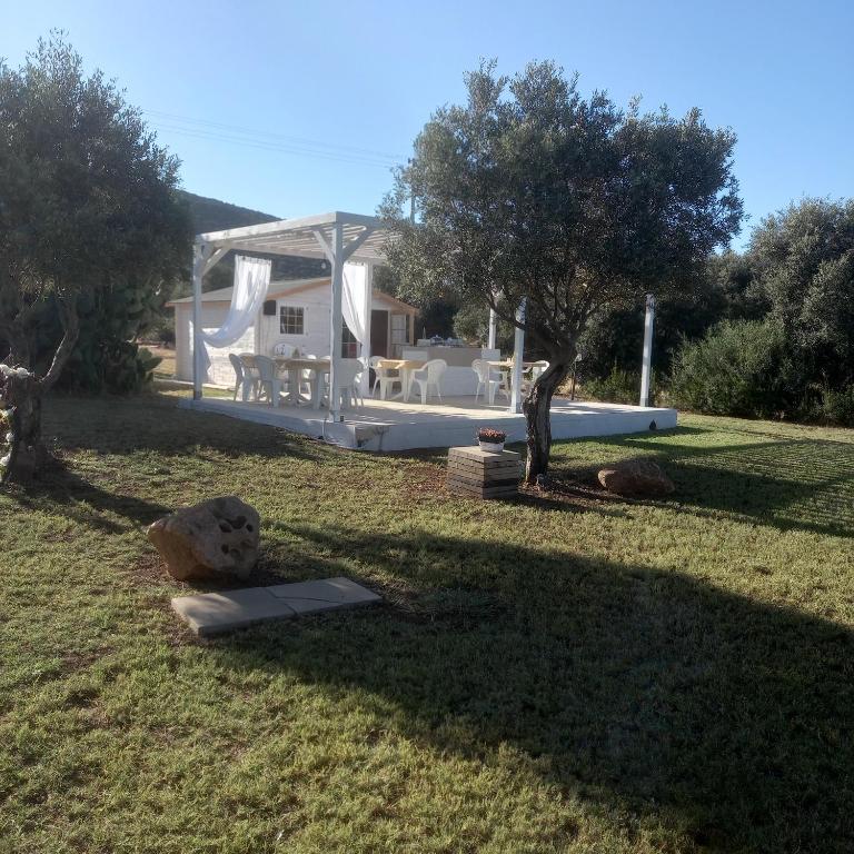 Zahrada ubytování B&B GLI ULIVI