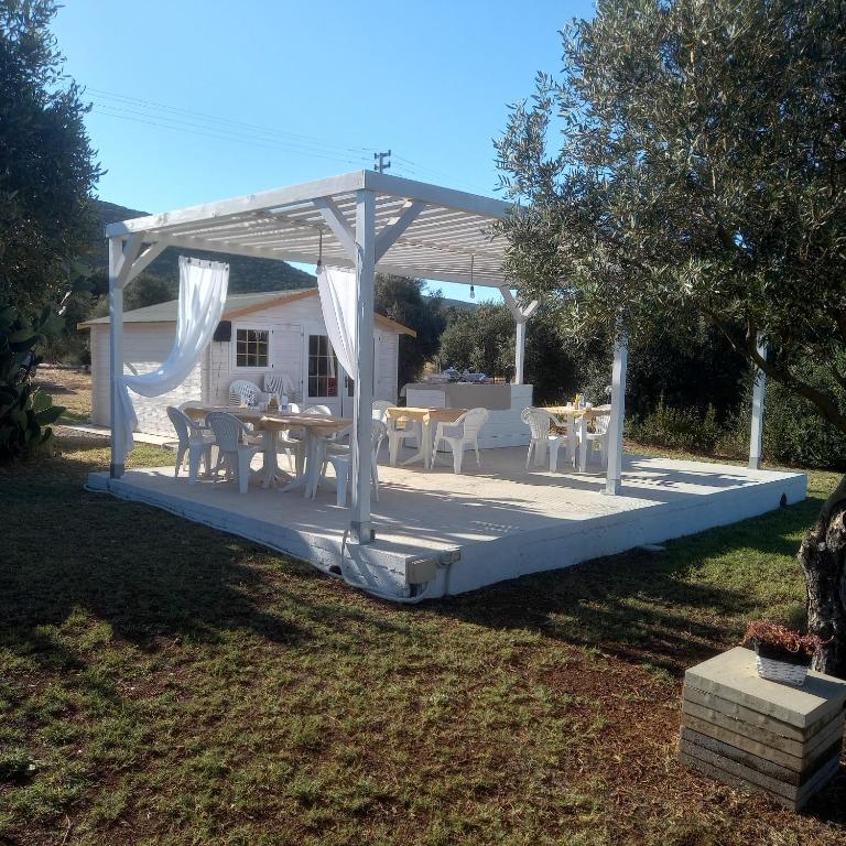 Zahrada ubytování B&B GLI ULIVI